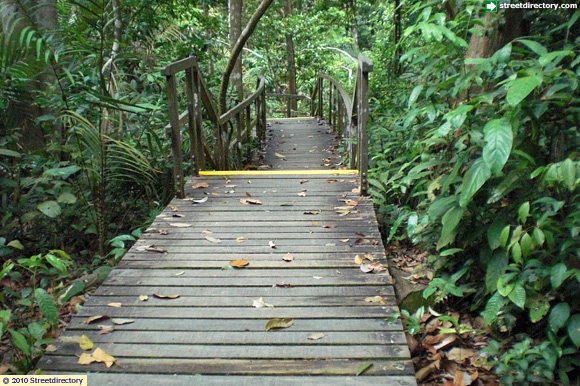 Image of a part of Macritchie